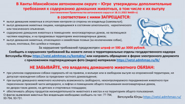 Информация о правилах содержания и выгула домашних животных