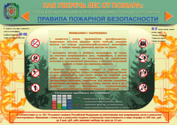 Как уберечь лес от пожара